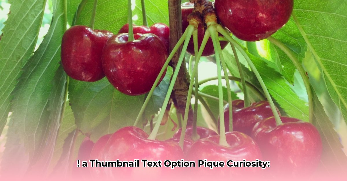 cherry-jones-net-worth